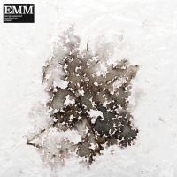 Mcloughlin Sam & David Chatton Bark - Environmental Meditation Music (Emm in der Gruppe VINYL / Dans/Techno bei Bengans Skivbutik AB (4200016)