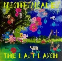 Nightingales - Last Laugh in der Gruppe CD bei Bengans Skivbutik AB (4200753)