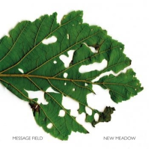 Message Field - New Meadow in der Gruppe CD / Finsk Musik,Pop-Rock bei Bengans Skivbutik AB (4201012)