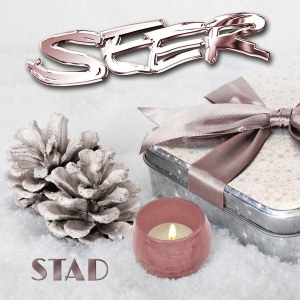 Seer - Stad in der Gruppe Övrigt /  bei Bengans Skivbutik AB (4201237)