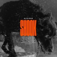 Algiers - Shook in der Gruppe VINYL / Pop-Rock bei Bengans Skivbutik AB (4201706)
