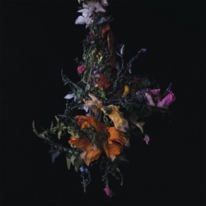 Big|brave - Nature Morte (Indie Exclusive, Lave in der Gruppe VINYL / Hårdrock bei Bengans Skivbutik AB (4202065)