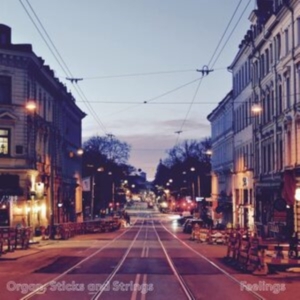 Organ Sticks And Strings - Feelings in der Gruppe CD / Jazz bei Bengans Skivbutik AB (4202078)