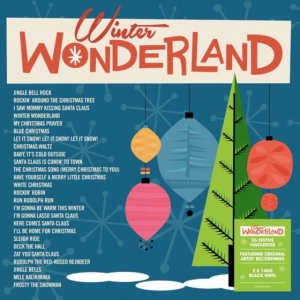 Winter Wonderland - Various Artists in der Gruppe Övrigt /  bei Bengans Skivbutik AB (4204584)