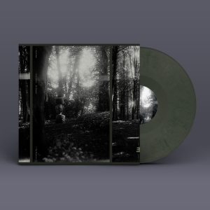 Eyolf Dale - Wayfarers in der Gruppe VINYL / Jazz bei Bengans Skivbutik AB (4204592)