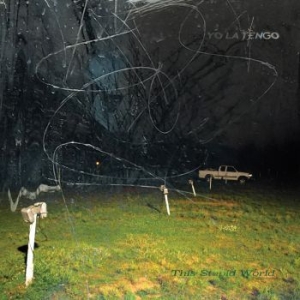 Yo La Tengo - This Stupid World (Blue Vinyl) in der Gruppe VINYL / Pop-Rock bei Bengans Skivbutik AB (4204688)