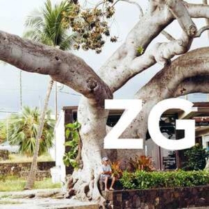 Zg - Zg in der Gruppe VINYL / Dance-Techno bei Bengans Skivbutik AB (4204774)
