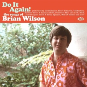 Do It Again! The Songs Of Brian Wil - Various in der Gruppe CD / Pop-Rock bei Bengans Skivbutik AB (4204849)