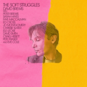Brewis David - Soft Struggle in der Gruppe CD / Pop-Rock bei Bengans Skivbutik AB (4204907)