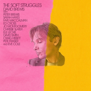 David Brewis - Soft Struggles in der Gruppe CD / Pop-Rock bei Bengans Skivbutik AB (4204907)
