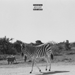 Louis Vi - Earthling in der Gruppe VINYL / Pop-Rock bei Bengans Skivbutik AB (4205009)