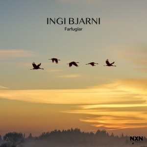Ingi Bjarni - Farfuglar in der Gruppe CD bei Bengans Skivbutik AB (4205933)