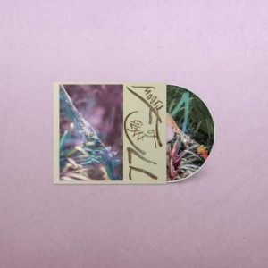 Macie Stewart - Mouth Full Of Glass in der Gruppe CD bei Bengans Skivbutik AB (4206821)