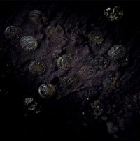 3PHAZ - ENDS MEET in der Gruppe VINYL / Dance-Techno,Pop-Rock bei Bengans Skivbutik AB (4207517)