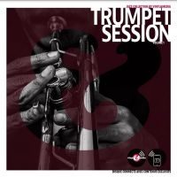 Vinyl And Media: Trumpet Session - Various Artists in der Gruppe VINYL / Jazz bei Bengans Skivbutik AB (4208075)