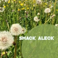 Smack Aleck - Unavoidable in der Gruppe CD bei Bengans Skivbutik AB (4208155)