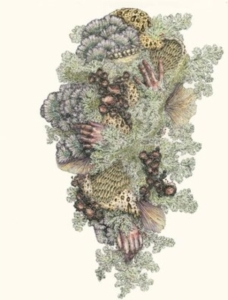 Pyrithe - Monuments To Impermanence in der Gruppe Övrigt /  bei Bengans Skivbutik AB (4208435)