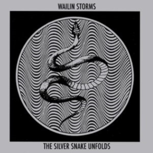 Wailin Storms - The Silver Snake Unfolds in der Gruppe CD bei Bengans Skivbutik AB (4208436)