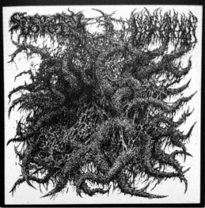 Spectral Voice / Blood Incantation - Split in der Gruppe VINYL bei Bengans Skivbutik AB (4208683)