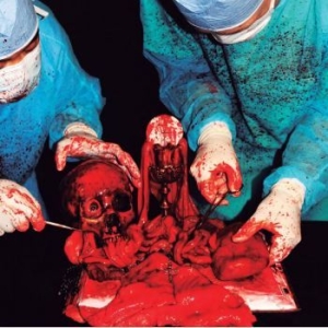 Miasmatic Necrosis - Apex Profane in der Gruppe Hårdrock bei Bengans Skivbutik AB (4208738)
