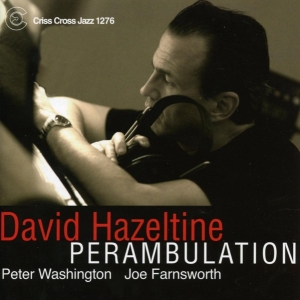 Hazeltine David -Trio- - Perambulation in der Gruppe CD / Jazz bei Bengans Skivbutik AB (4211836)
