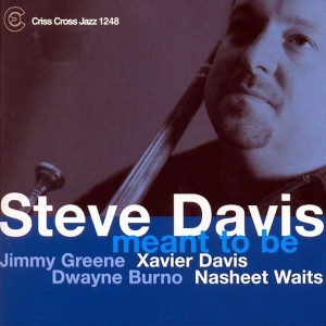 Davis Steve - Meant To Be in der Gruppe CD bei Bengans Skivbutik AB (4212605)