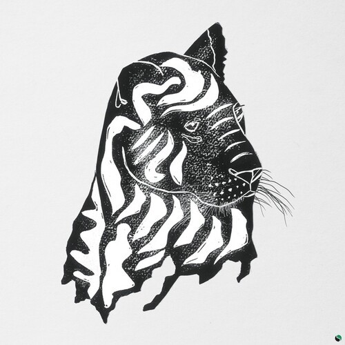 ALPHA STEPPA & AWA FALL - WHAT A JOY in der Gruppe VINYL / Bestseller bei Bengans Skivbutik AB (4213635)