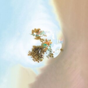 Sam Goku - The Things We See When We Look Clos in der Gruppe VINYL / Pop bei Bengans Skivbutik AB (4213966)