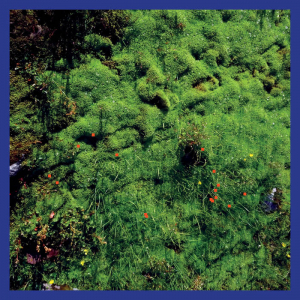 Puech Matthias - Mt. Hadamard National Park in der Gruppe VINYL / Dance-Techno,Pop-Rock bei Bengans Skivbutik AB (4214131)
