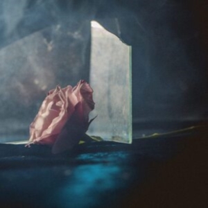 Lee Ranaldo - In Virus Times in der Gruppe Övrigt /  bei Bengans Skivbutik AB (4216391)