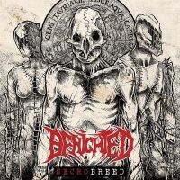 Benighted - Necrobreed in der Gruppe VINYL / Hårdrock bei Bengans Skivbutik AB (4217291)