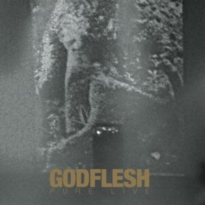 Godflesh - Pure: Live (2 Lp Splatter Vinyl) in der Gruppe VINYL / Pop-Rock bei Bengans Skivbutik AB (4218857)