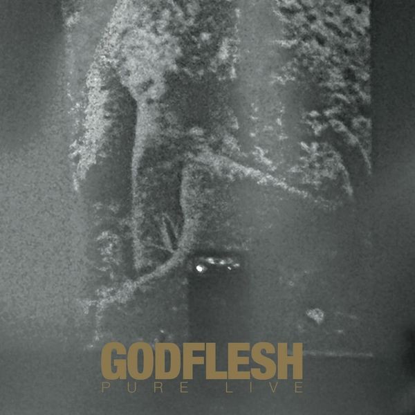 Godflesh - Pure: Live (2 Lp Splatter Vinyl) in der Gruppe VINYL / Pop bei Bengans Skivbutik AB (4218857)