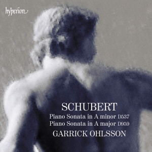 Schubert Franz - Piano Sonatas D537 & 959 in der Gruppe Externt_Lager / Naxoslager bei Bengans Skivbutik AB (4218917)