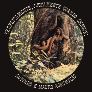 Rubinho E Mauro Assumpoao - Perfeitamente, Justamento Quan in der Gruppe CD bei Bengans Skivbutik AB (4218939)