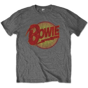 David Bowie - David Bowie Kids T-Shirt: Diamond Dogs L in der Gruppe Minishops / David Bowie / David Bowie Merch bei Bengans Skivbutik AB (4219949r)
