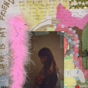 Wednesday - I Was Trying To Describe You To Som in der Gruppe VINYL / Pop-Rock bei Bengans Skivbutik AB (4220609)