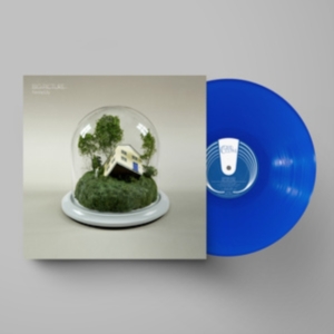 Fenne Lily - Big Picture (Ltd Ultramarine Vinyl) in der Gruppe VINYL / Pop-Rock bei Bengans Skivbutik AB (4220614)
