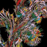 Weval - Remember in der Gruppe VINYL / Dance-Techno bei Bengans Skivbutik AB (4220616)