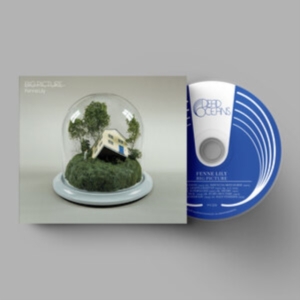 Fenne Lily - Big Picture in der Gruppe CD / Pop-Rock bei Bengans Skivbutik AB (4220621)