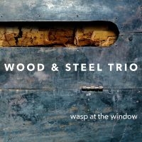 Wood & Steel Trio - Wasp At The Window in der Gruppe CD / Jazz bei Bengans Skivbutik AB (4222008)