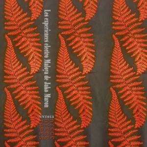 Jako Maron - The Electro Maloya Experiments Of J in der Gruppe VINYL / Dance-Techno bei Bengans Skivbutik AB (4222071)