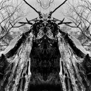 Rulaman - To Serve The Dune (Green Vinyl Lp) in der Gruppe VINYL bei Bengans Skivbutik AB (4222356)