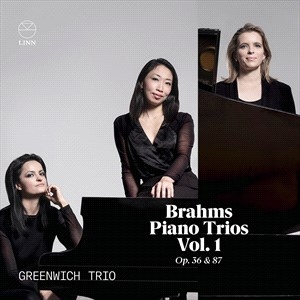 Brahms Johannes - Piano Trios Vol. 1, Op. 36 & 87 in der Gruppe Externt_Lager / Naxoslager bei Bengans Skivbutik AB (4223638)