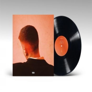 Joesef - Permanent Damage in der Gruppe VINYL / Pop bei Bengans Skivbutik AB (4224244)