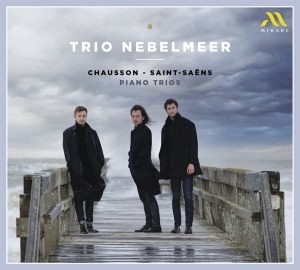 Trio Nebelmeer - Chausson - Saint-Saens Piano Trios in der Gruppe CD bei Bengans Skivbutik AB (4224875)