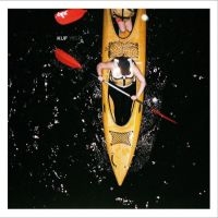 Kuf - Yield in der Gruppe VINYL / Pop bei Bengans Skivbutik AB (4225299)