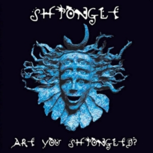 SHPONGLE - ARE YOU SHPONGLED? in der Gruppe VINYL / Dance-Techno,Pop-Rock bei Bengans Skivbutik AB (4225314)