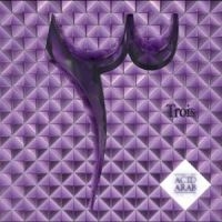 Acid Arab - Trois in der Gruppe CD / Pop-Rock bei Bengans Skivbutik AB (4225579)