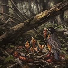 THE ACACIA STRAIN - STEP INTO THE LIGHT in der Gruppe VINYL / Pop-Rock bei Bengans Skivbutik AB (4227810)